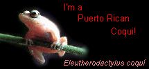 I'm a Puerto Rican Coqui!