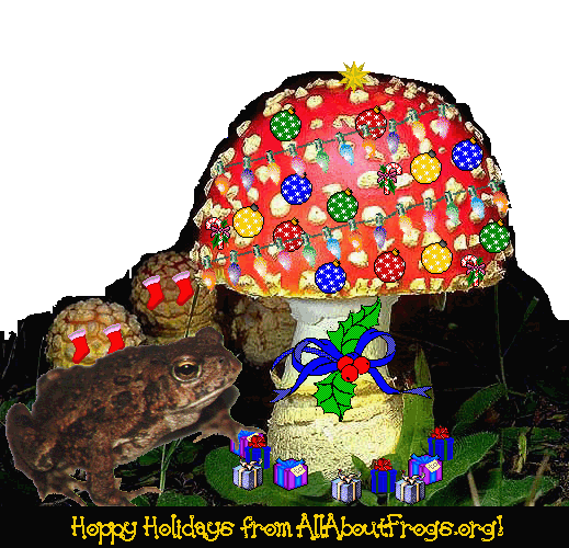 Hoppy Holidays!