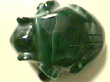 [malachite frog]