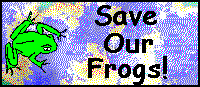 Save Our Frogs!