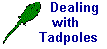 Tadpole Care