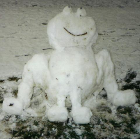 Julie's Snow Frog