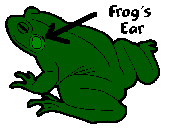 [Frog's Ear]