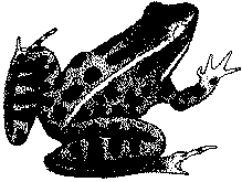 [Frog]